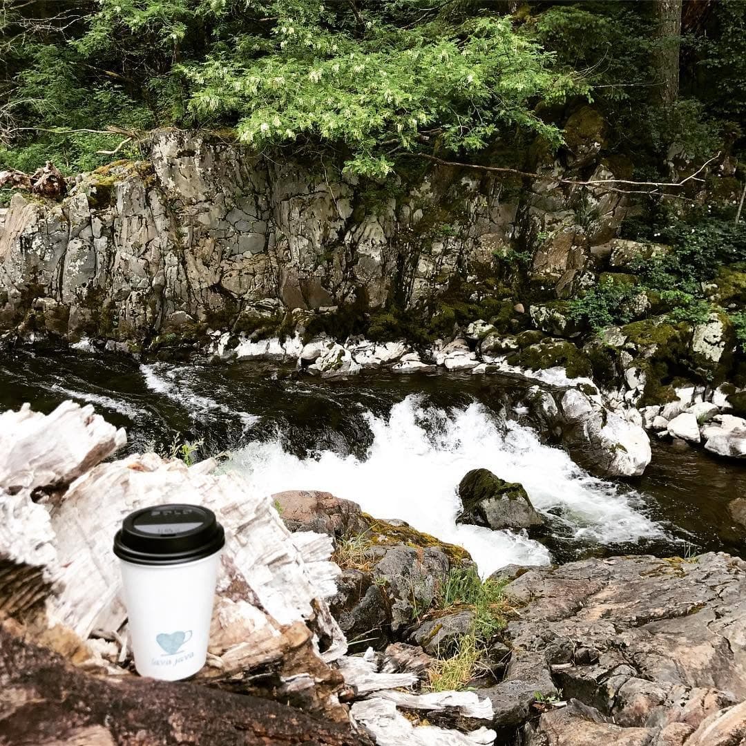 Cup at creek