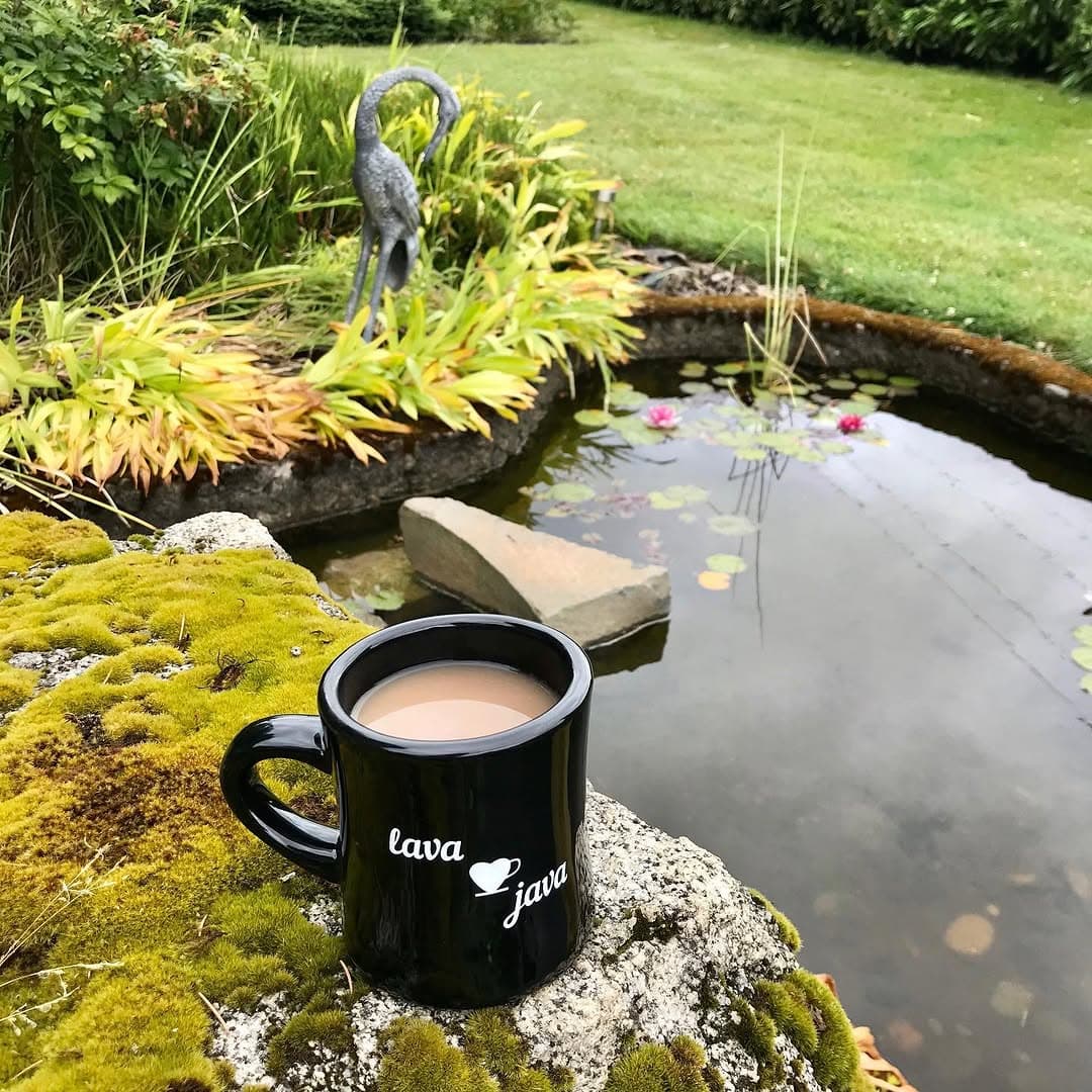 Cup by pond