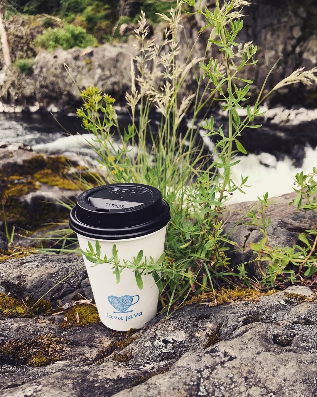 Cup by river
