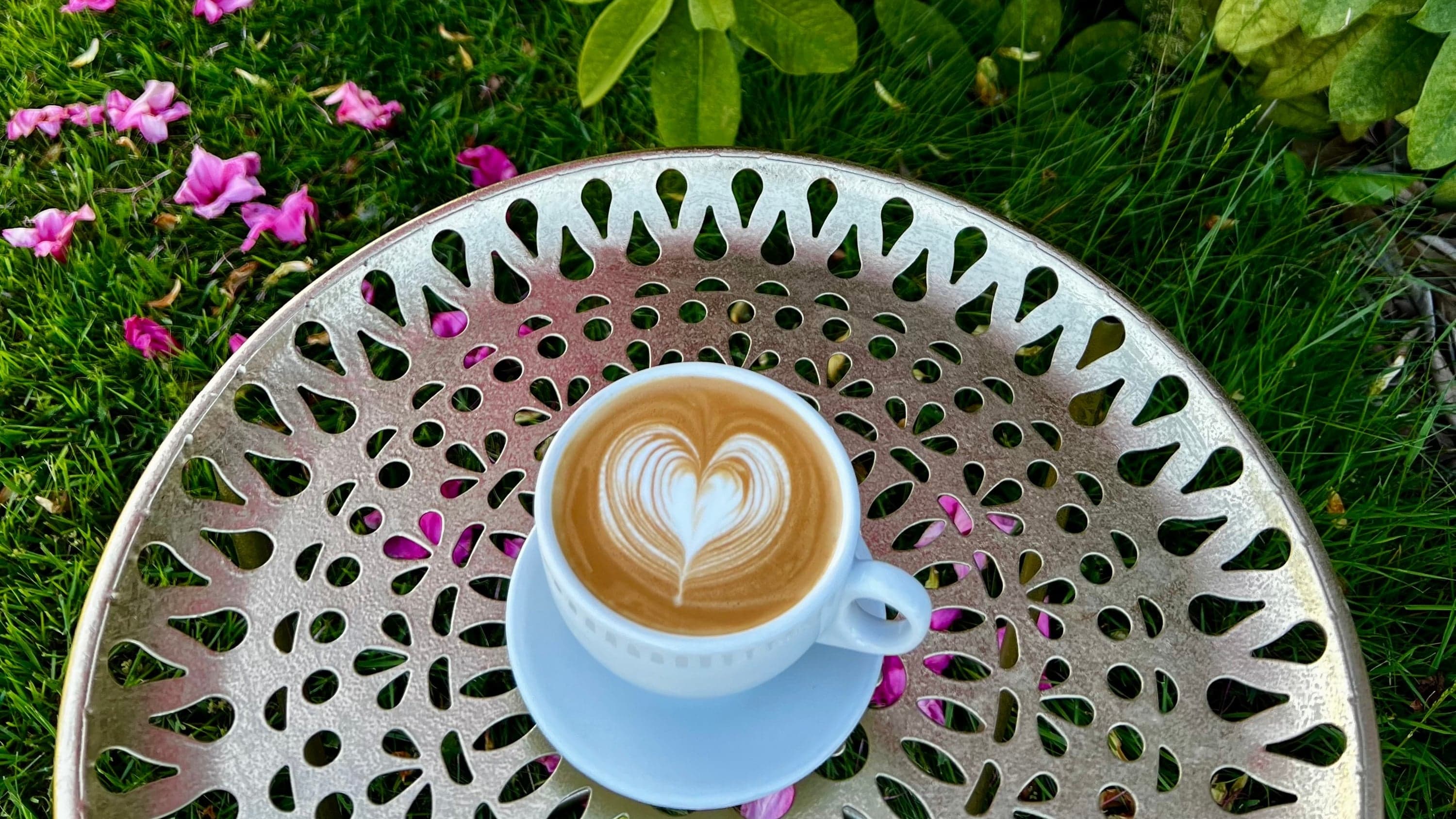 Lava Java cup on mossy rocks beside a Pacific Northwest river